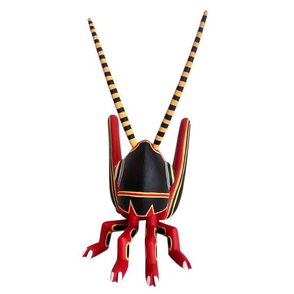 Luis Pablo: Chapulin Cricket Oaxaca