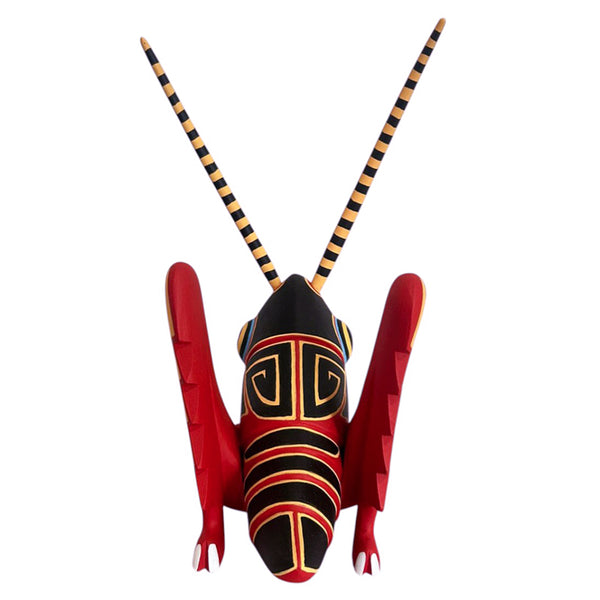 Luis Pablo: Chapulin Cricket Oaxaca