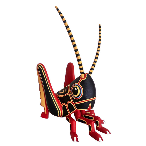 Luis Pablo: Chapulin Cricket Oaxaca