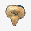 files/LuisPabloFoxMask_SandiaFolk6264.jpg
