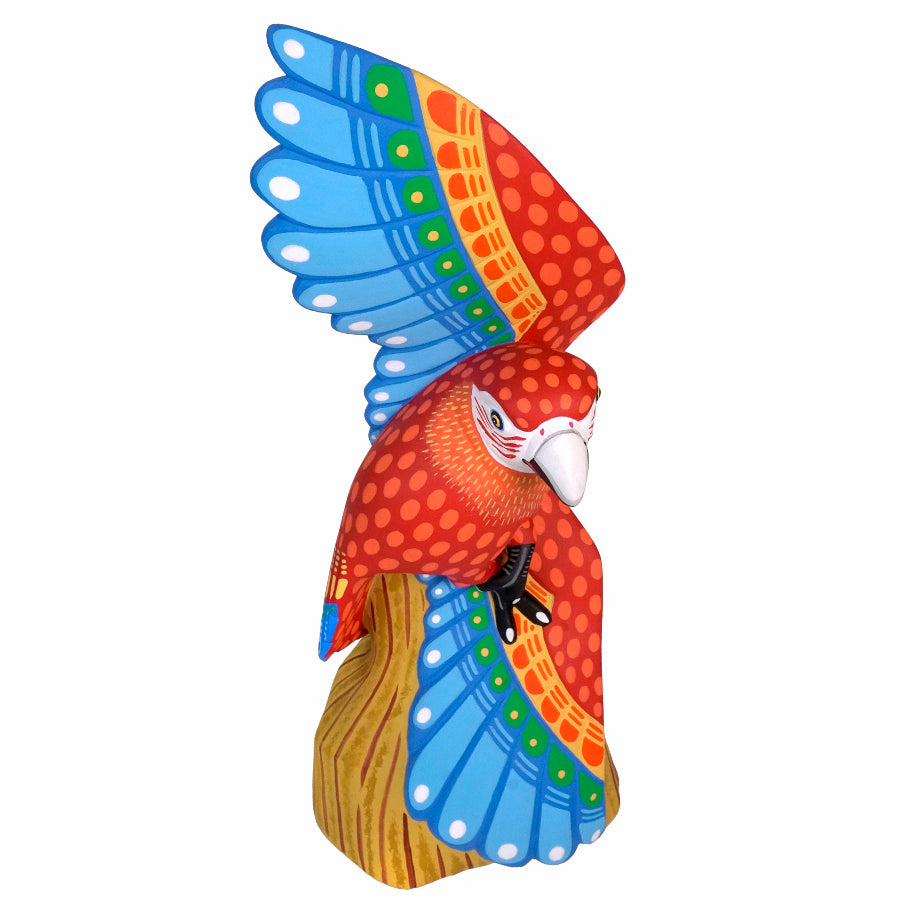 Luis Pablo: Alebrije Macaw Woodcarving