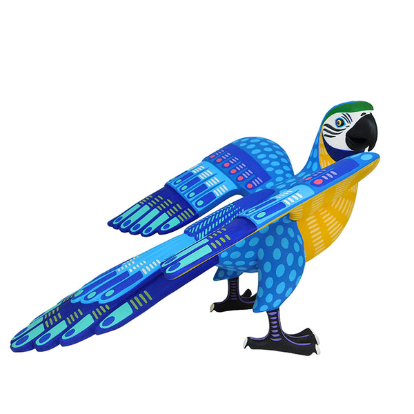 Luis Pablo: Guardian Macaw Woodcarving