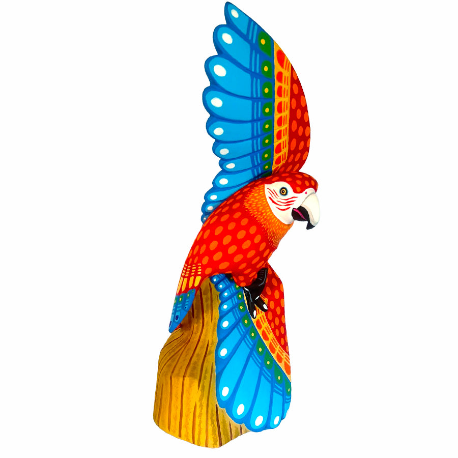 Luis Pablo: Spectacular Macaw Woodcarving