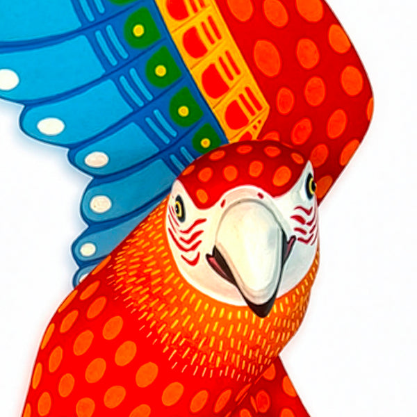 Luis Pablo: Spectacular Macaw Woodcarving