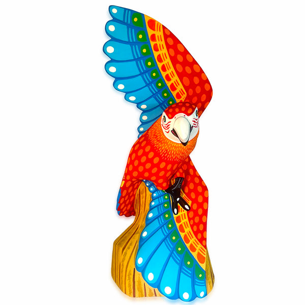 Luis Pablo: Spectacular Macaw Woodcarving
