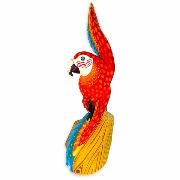 Luis Pablo: Spectacular Macaw Woodcarving