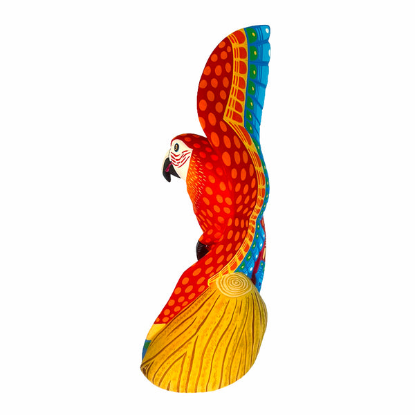 Luis Pablo: Spectacular Macaw Woodcarving
