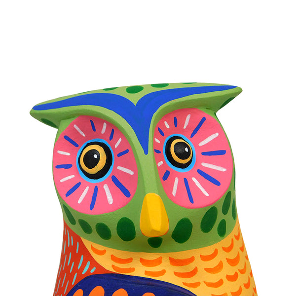 Luis Pablo: Colorful Owl Woodcarving