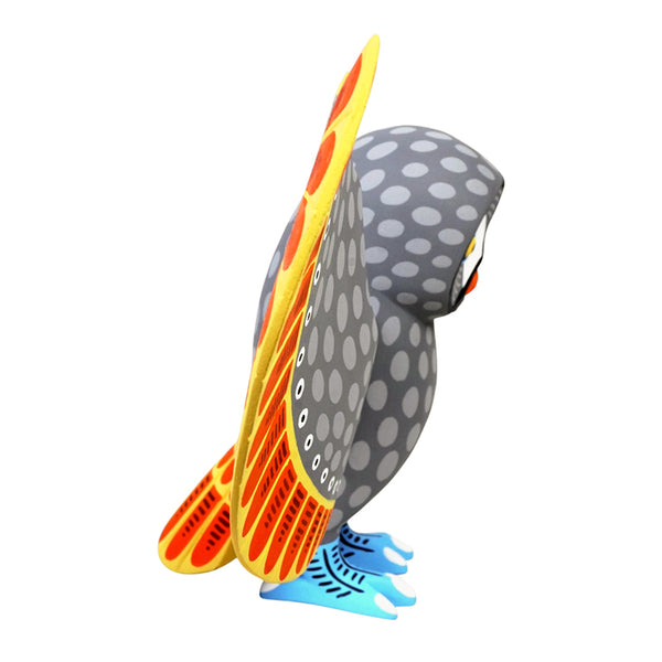 Luis Pablo: Owl Oaxaca