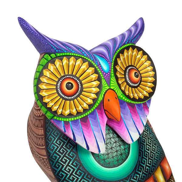 Jose Calvo & Magaly Fuentes: Spectacular Great Horned Owl