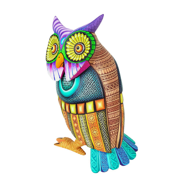 Jose Calvo & Magaly Fuentes: Spectacular Great Horned Owl