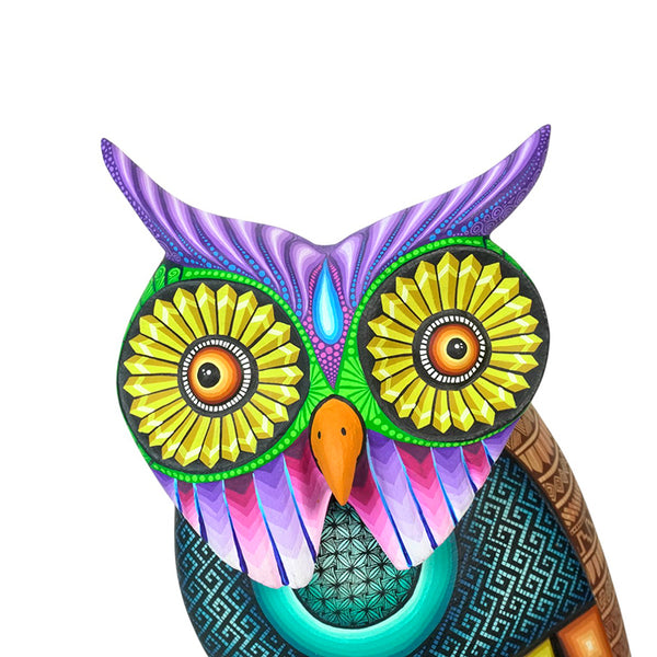 Jose Calvo & Magaly Fuentes: Spectacular Great Horned Owl