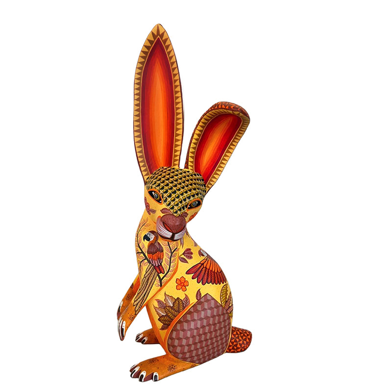 Michelle Fuentes: Macaws Rabbit Oaxaca