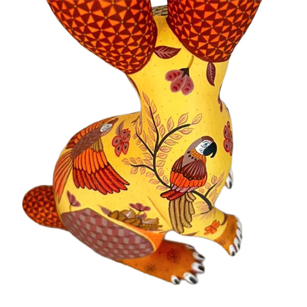 Michelle Fuentes: Macaws Rabbit Oaxaca