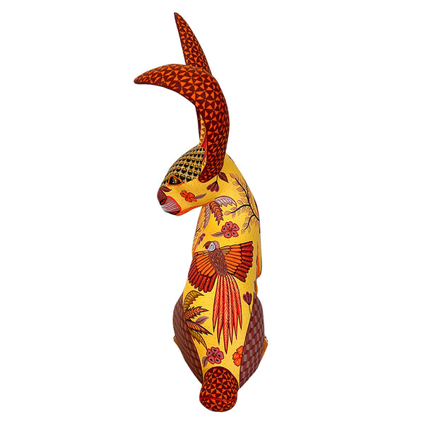 Michelle Fuentes: Macaws Rabbit Oaxaca