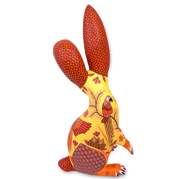 Michelle Fuentes: Macaws Rabbit Oaxaca
