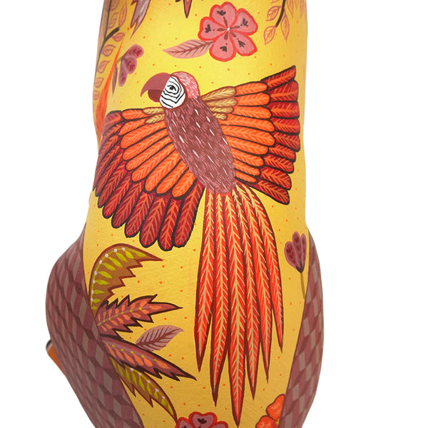 Michelle Fuentes: Macaws Rabbit Oaxaca