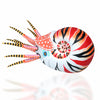 files/Nautilus-Alebrije-Mexican-Folk-Art-LuisP-3541.jpg