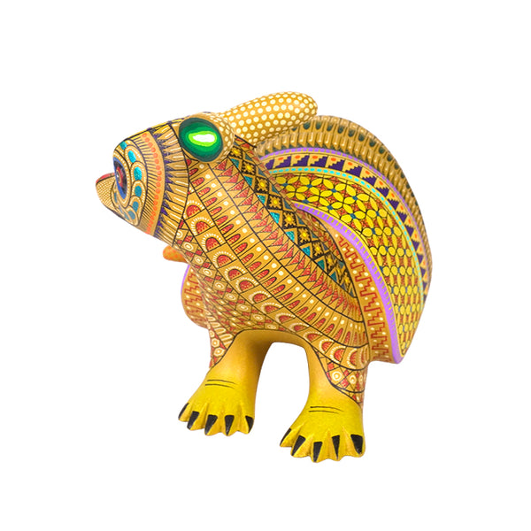 Neri & Soledad Cruz: Beautiful Baby Armadillo