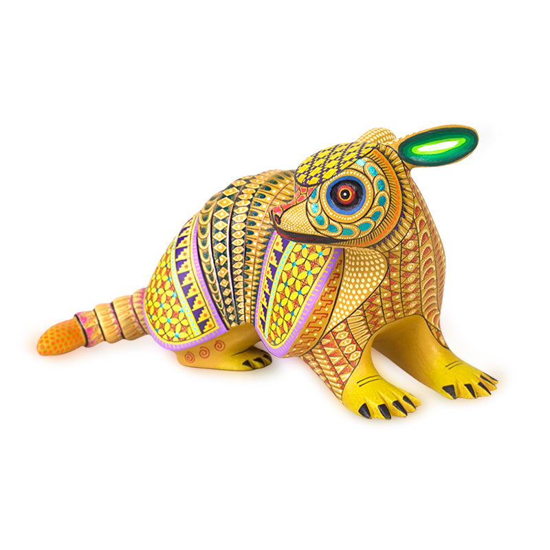 Neri & Soledad Cruz: Beautiful Baby Armadillo