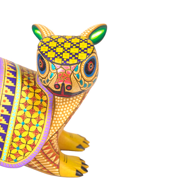 Neri & Soledad Cruz: Beautiful Baby Armadillo