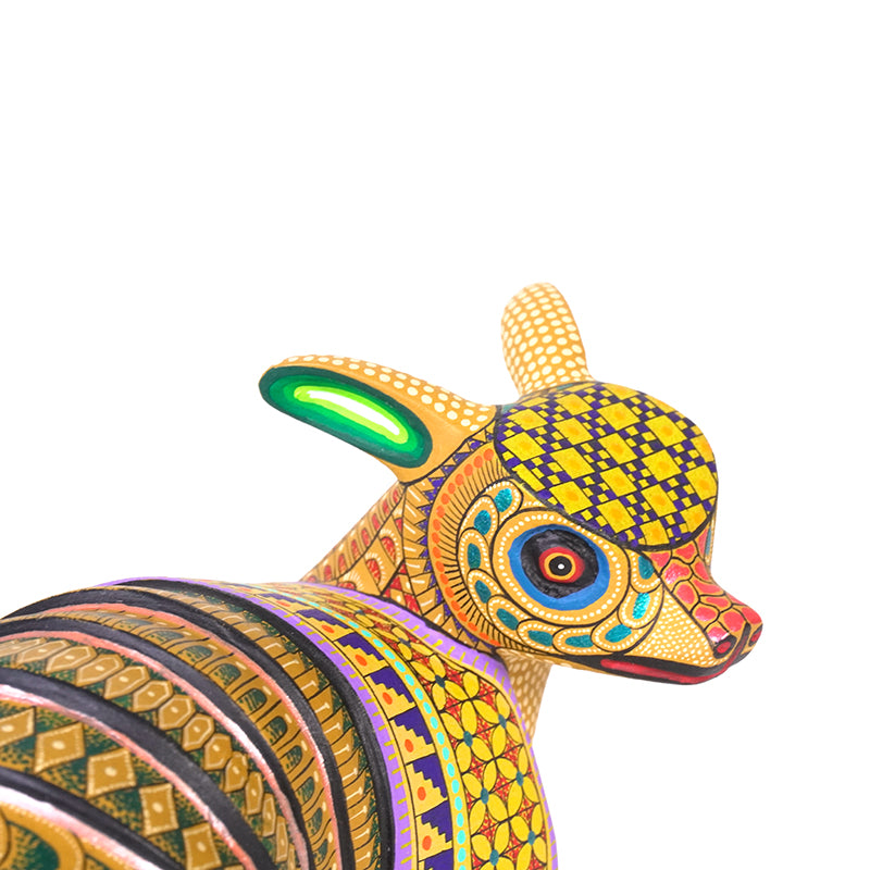 Neri & Soledad Cruz: Beautiful Baby Armadillo