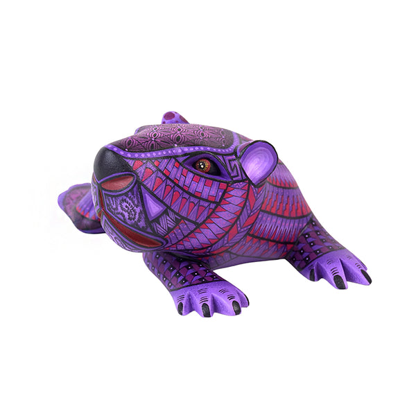 Nicolas Morales: Baby Capybara Oaxaca