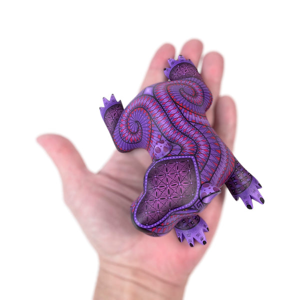 Nicolas Morales: Baby Capybara Oaxaca