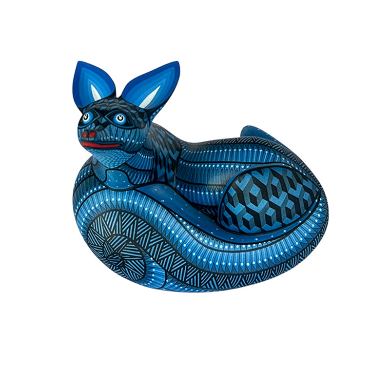 Nicolas Morales: Little Midnight Fox Oaxaca