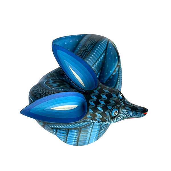 Nicolas Morales: Little Midnight Fox Oaxaca