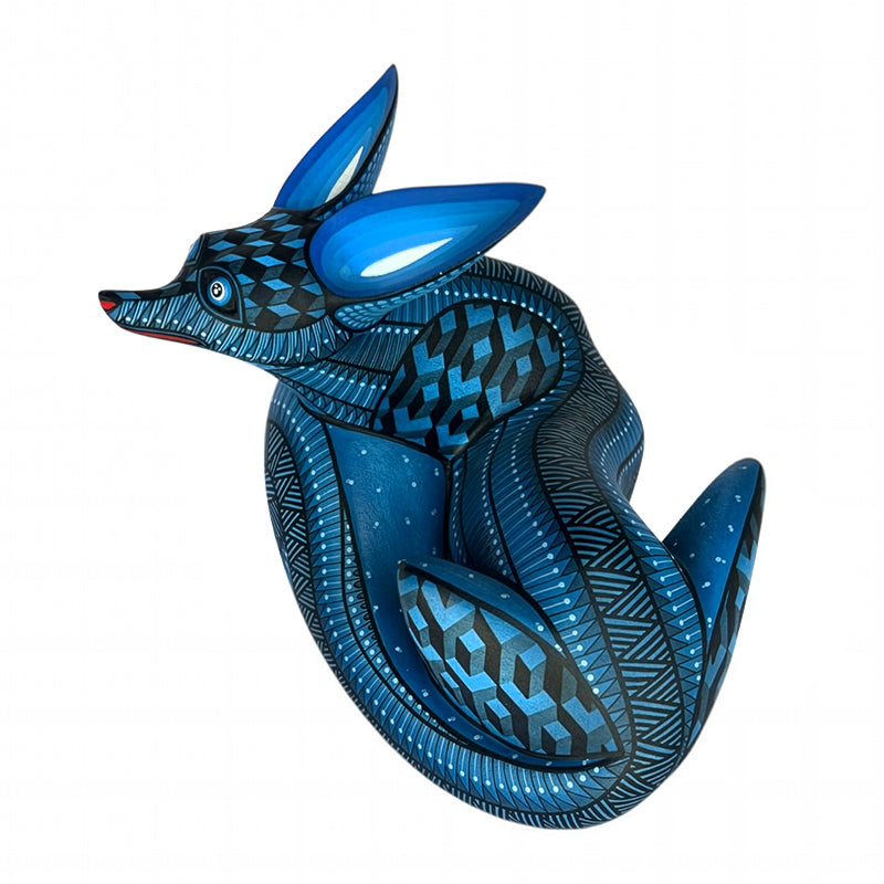 Nicolas Morales: Little Midnight Fox Oaxaca