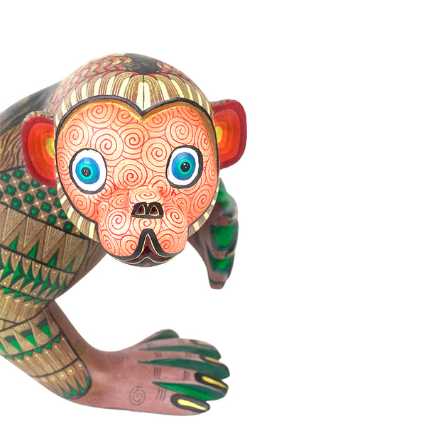 Reyna Pina: Magnificent Monkey Oaxaca