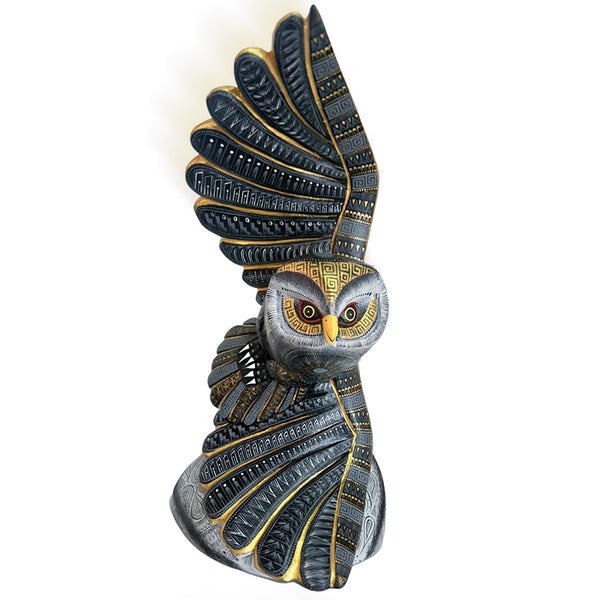 Rocio Fabian: Ancient Wisdom Owl Oaxaca