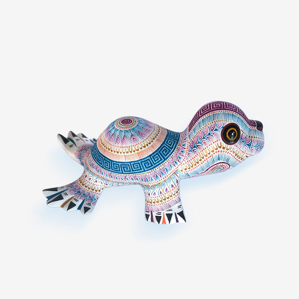 Rocio Fabian: Delightful Baby Seal