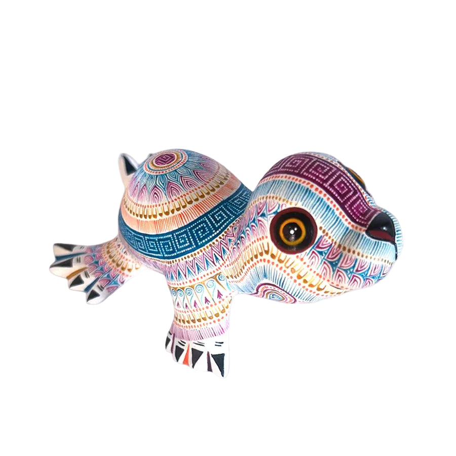 Rocio Fabian: Delightful Baby Seal