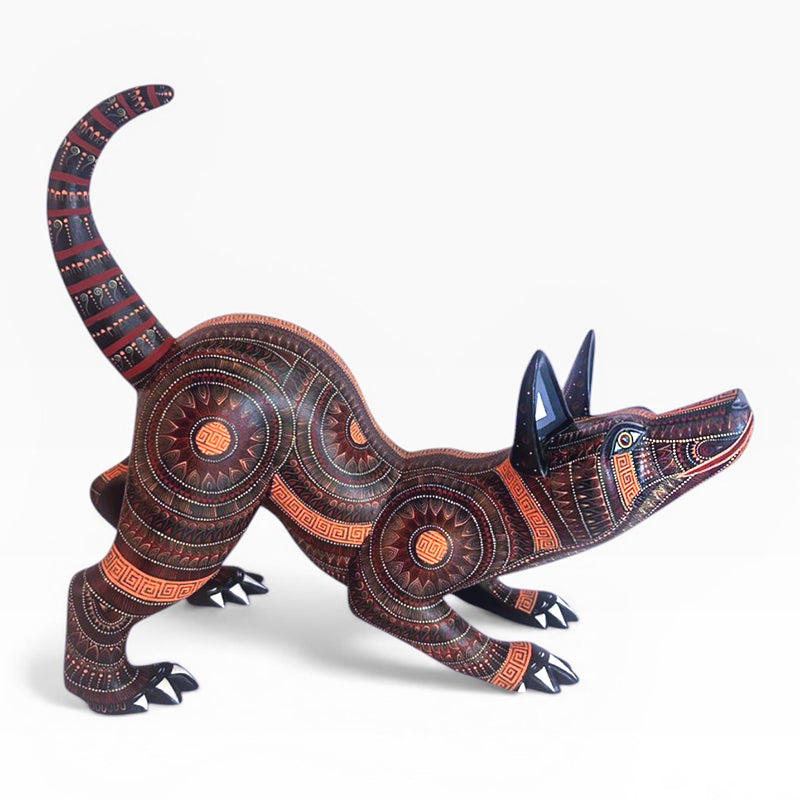 Rocio Fabian: Sunshine Dog