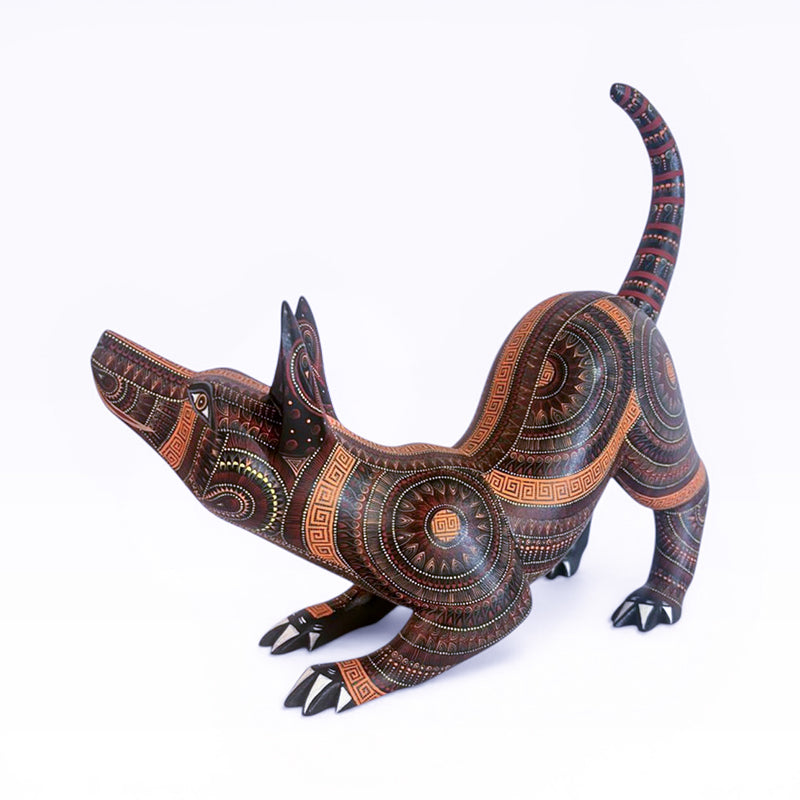 Rocio Fabian: Sunshine Dog