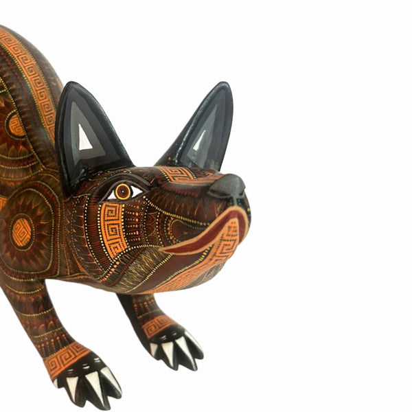Rocio Fabian: Sunshine Dog
