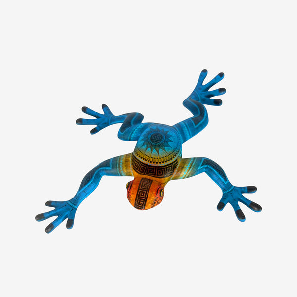 Rocio Fabian: Rain Frog