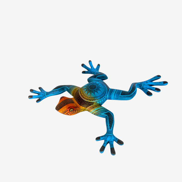 Rocio Fabian: Rain Frog