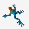 files/RocioFabianFrog_SandiaFolk5265.jpg