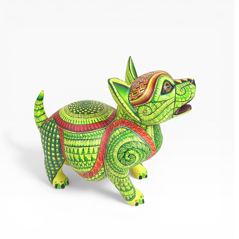 Saul Aragon: Captivating Puppy Dog Oaxaca