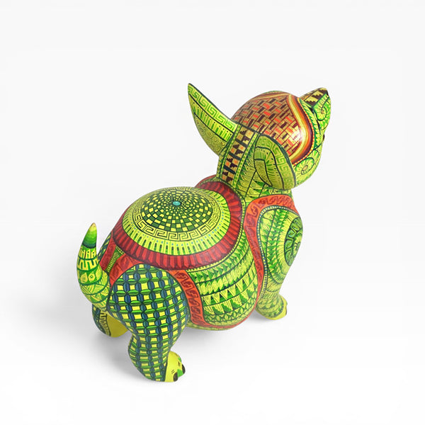 Saul Aragon: Captivating Puppy Dog Oaxaca