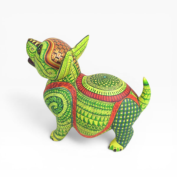 Saul Aragon: Captivating Puppy Dog Oaxaca