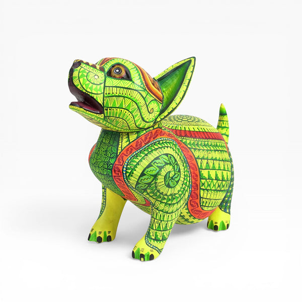 Saul Aragon: Captivating Puppy Dog Oaxaca
