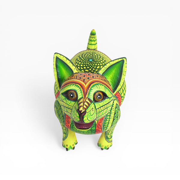Saul Aragon: Captivating Puppy Dog Oaxaca