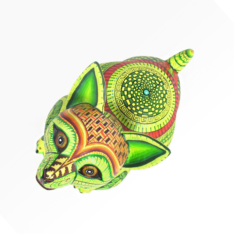 Saul Aragon: Captivating Puppy Dog Oaxaca