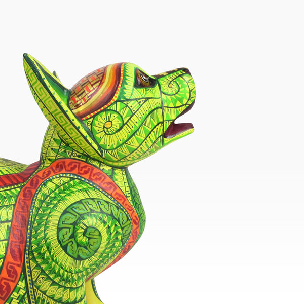 Saul Aragon: Captivating Puppy Dog Oaxaca