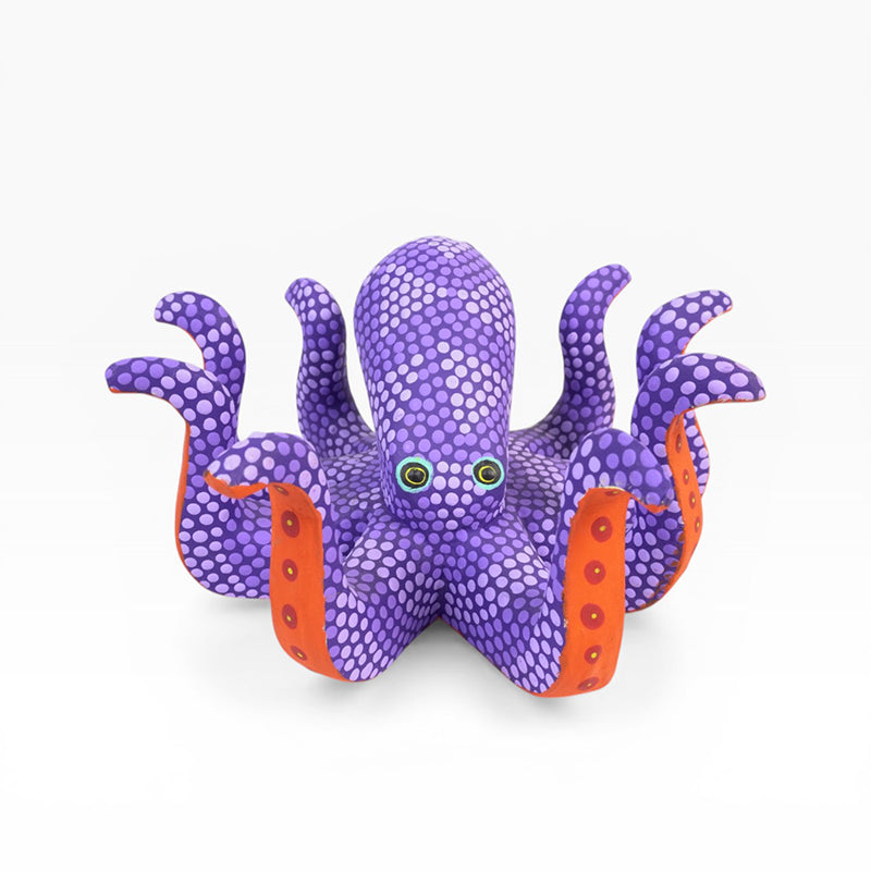 Saul Aragon: Octopus Oaxaca