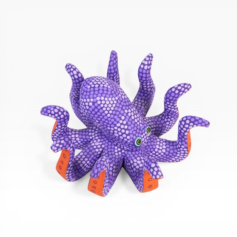 Saul Aragon: Octopus Oaxaca